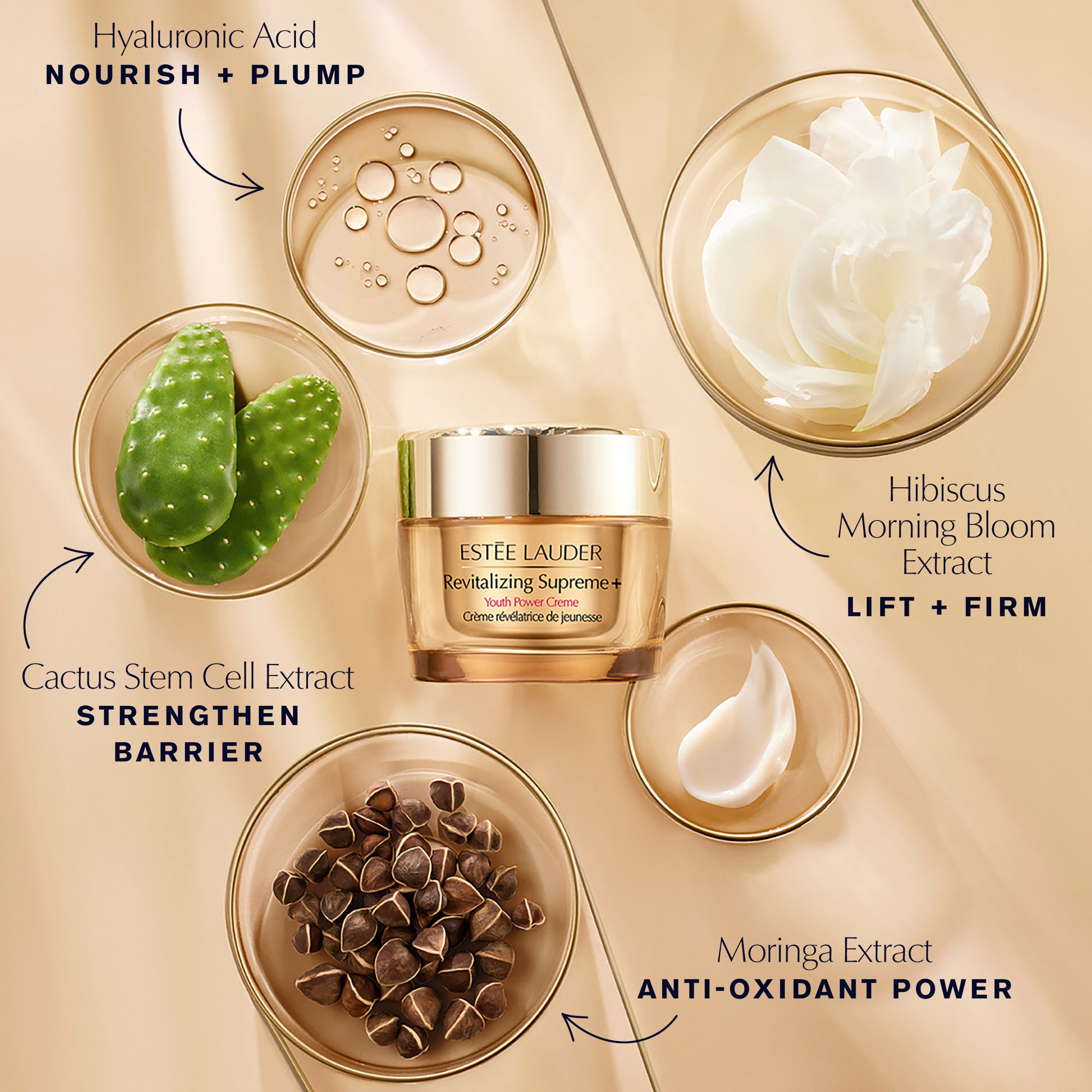 Revitalizing Supreme+ Skincare Gift Set | Estée Lauder